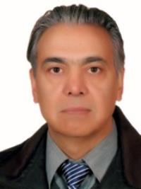 تصویر دکتر حسین عبدالهی ثانی