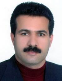 تصویر دکتر سیدجلال میرمحسنی