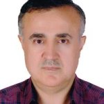 تصویر دکتر محمد محمدزالی