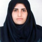 تصویر دکتر مهرنوش رهنمافلاورجانی