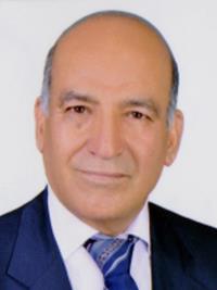 تصویر دکتر مهدی گلپایگانی