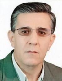 تصویر دکتر برهان الدین ولدبیگی