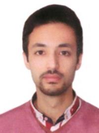 تصویر دکتر مهدی فرخی استاد