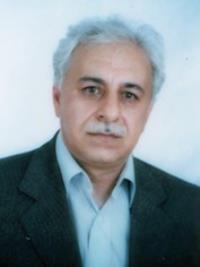 تصویر دکتر علی ابراهیمی نژادرفسنجانی