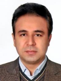 تصویر دکتر تیمور فتحی