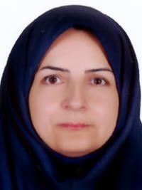تصویر دکتر خدیجه صالحی صدقیانی