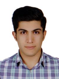 تصویر دکتر شروین بشیری گودرزی
