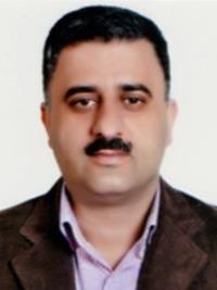 تصویر دکتر سیدمهدی میرهاشمی سیگارودی