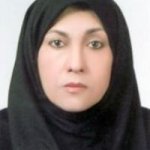 تصویر دکتر مینا قنبرزاده دهکردی