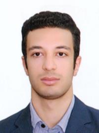 تصویر دکتر پویا بزرگی