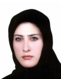 تصویر دکتر مهشید محمدی