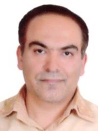 تصویر دکتر رضا وحیدگل محمدی