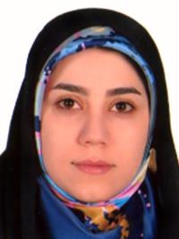 تصویر دکتر نفیسه حسین زاده صلاتی