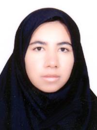 تصویر دکتر فهیمه فتحی