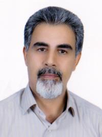 تصویر دکتر سیدمحسن حسامی