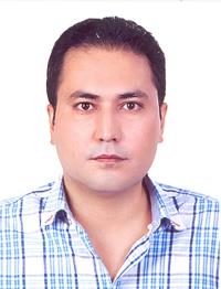 تصویر دکتر هاشم حکیمی
