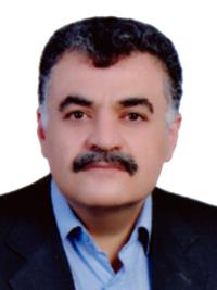 تصویر دکتر محمدباقر محمودی