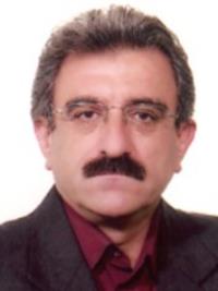 تصویر دکتر میررسول سیدمهدی زاده