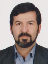 تصویر دکتر سیدمحمدهادی موسویان