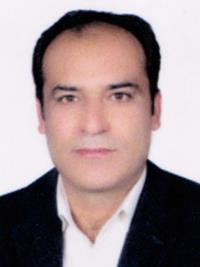 تصویر دکتر محمدرضا حسامی