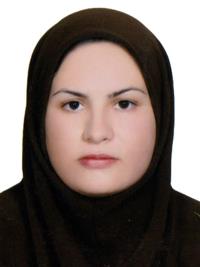 تصویر دکتر منیره شهراد