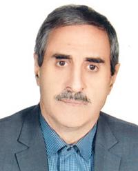 تصویر دکتر ایوب ابراهیمی