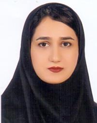 تصویر دکتر زهرا درویشی نخل ابراهیمی