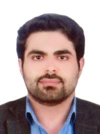 تصویر دکتر مجتبی حسین زاده سرشکی
