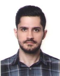 تصویر دکتر پوریا پاشائی