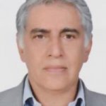 تصویر دکتر محمد ولی زادگان