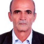 تصویر دکتر محمود صباغی نژادمهرجردی