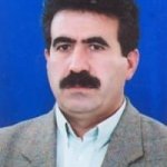 تصویر دکتر محمدرسول نجفی