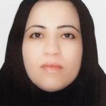 تصویر دکتر سیده نرگس هاشمی
