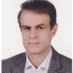 تصویر دکتر سید مهدی مهدوی پاپکیاده