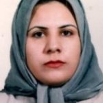 تصویر دکتر صدیقه رجبی