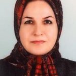 تصویر دکتر مریم حاجی سید جوادی
