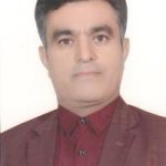 تصویر دکتر مجید عارف نیا