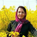 تصویر دکتر هایده ابطحی