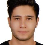 تصویر دکتر امیرمحمد شایسته پور