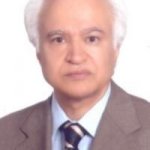 تصویر دکتر مجتبی نیک نژاد