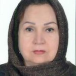 تصویر دکتر امیره دهله حسین زاده