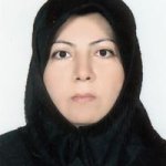 تصویر دکتر ویدا وکیلی گرمرودی