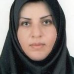 تصویر دکتر سیده شهره حسینی