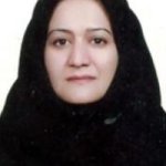 تصویر دکتر ویدا محمدی فرد