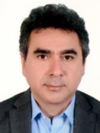 تصویر دکتر محمود محمدی کردخیلی