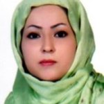 تصویر دکتر فاطمه حمیدی