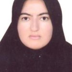 تصویر دکتر مرجان علی زاده سیرچی