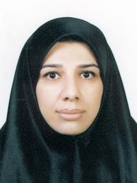 تصویر دکتر مینا اسماعیل زادحجبی