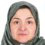 تصویر دکتر نیناکورین رز سهیلی