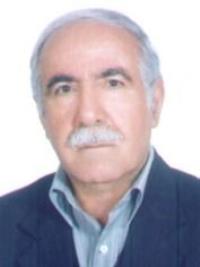 تصویر دکتر ابراهیم آذری زنجانی